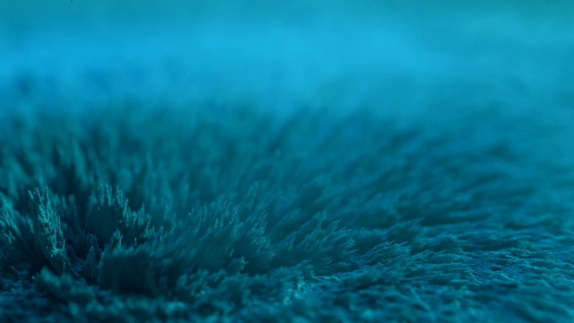 Video Reference: blue, green, turquoise, underwater, sky, macro photography, water, computer wallpaper, close up, marine biology