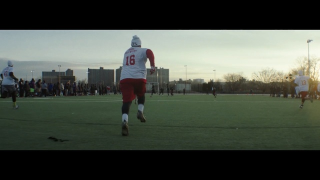 Video Reference: player, football player, games, sports, sport venue, day, atmosphere, team sport, grass, ball