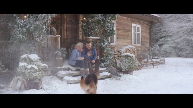 Video Reference: Snow, Winter, Dog, Canidae, Fun, Freezing, Person