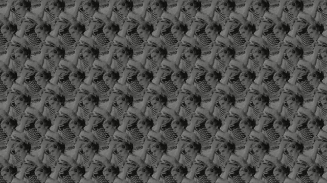 Video Reference: black and white, pattern, monochrome photography, monochrome, design, material, grass, woven fabric, symmetry