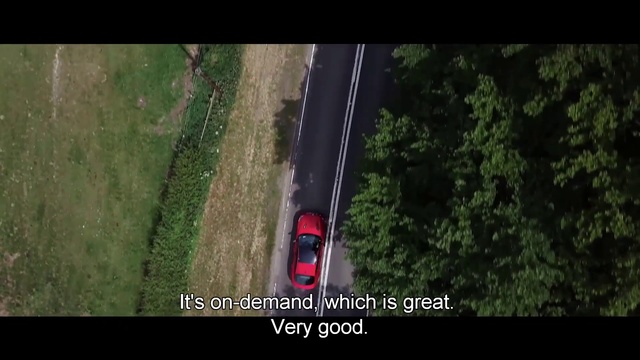 Video Reference: Nature, Mode of transport, Lawn, Tree, Grass, Woody plant, Leaf, Line, Plant, Shrub