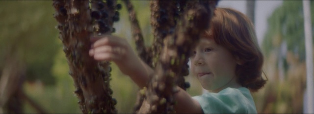 Video Reference: Hair, Face, Head, Hairstyle, Nose, Human, Cheek, Tree, Long hair, Leaf