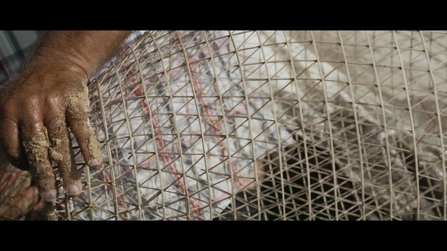 Video Reference: mammal, wire fencing, chain link fencing, animal shelter, net, material, mesh, recreation, pattern, wildlife