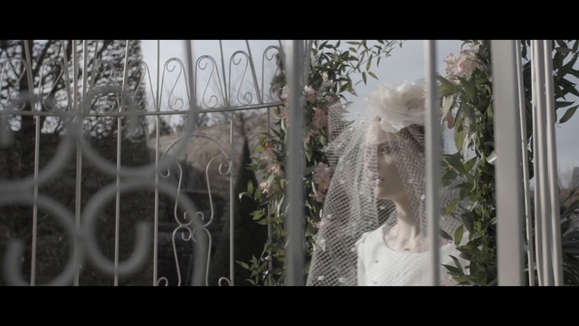 Video Reference: photograph, flora, flower, tree, plant, dress, window, flowering plant, cactus, girl