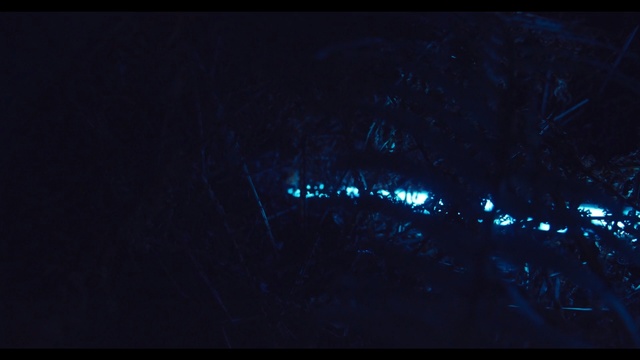 Video Reference: blue, black, night, darkness, sky, light, atmosphere, lighting, geological phenomenon, midnight