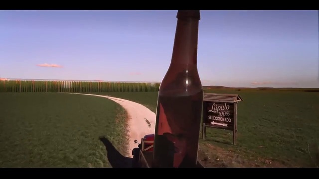 Video Reference: Glass bottle, Bottle, Sky, Landscape, Drink, Ecoregion, Grass family, Drinkware, Horizon, Wine bottle