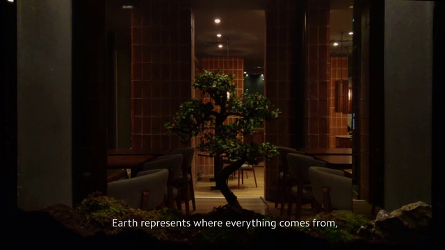 Video Reference: Lighting, Room, Home, Tree, Building, Interior design, Plant, Night, House, Window