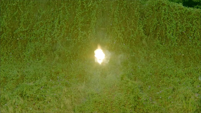 Video Reference: Green, Nature, Vegetation, Grass, Light, Sunlight, Water, Tree, Plant, Lawn