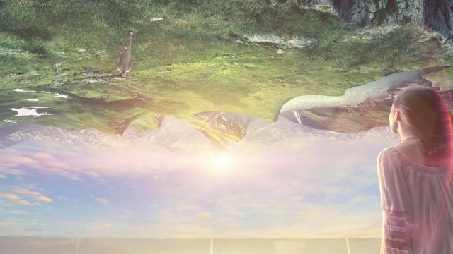 Video Reference: Sky, Nature, Beauty, Morning, Sunlight, Cloud, Atmosphere, Tree, Summer, Photography