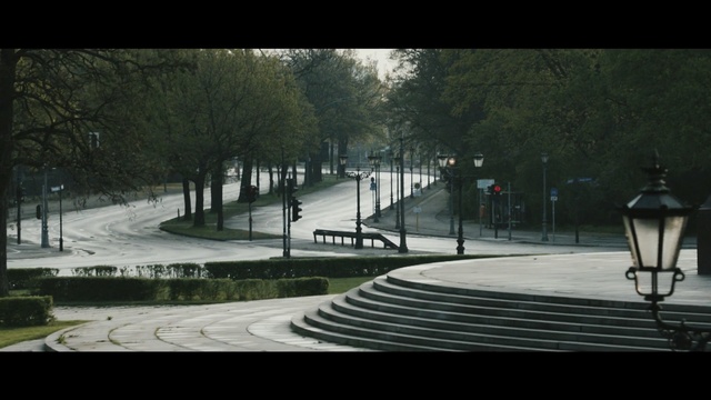 Video Reference: Tree, Snow, Winter, Street, Photography, Road surface, Road, Pedestrian, Landscape, Black-and-white
