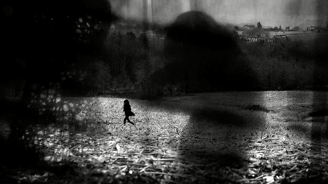 Video Reference: water, black, nature, black and white, reflection, atmosphere, monochrome photography, darkness, photography, light