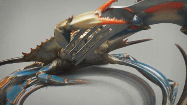 Video Reference: crab, decapoda, seafood, animal source foods, organism, claw, crustacean