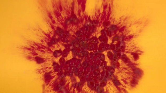 Video Reference: yellow, orange, close up, flower, macro photography, dandelion, organism, sky, petal, computer wallpaper, Person