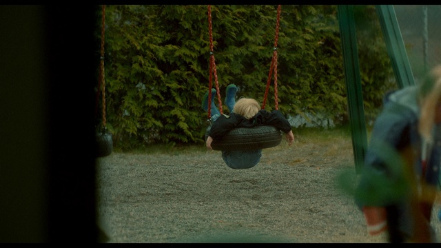 Video Reference: green, nature, mammal, tree, vertebrate, grass, plant, darkness, photography, leaf