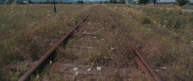 Video Reference: Track, Transport, Land lot, Grass, Grass family, Field, Soil, Rural area, Road, Thoroughfare