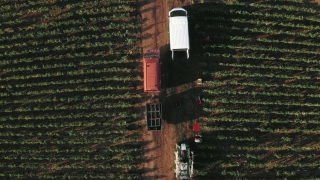 Video Reference: Wall, Brick, Brickwork, Window, House, Building