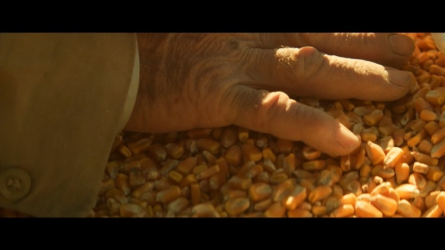 Video Reference: Food, Hand, Vegetable, Plant, Vegetarian food, Bean