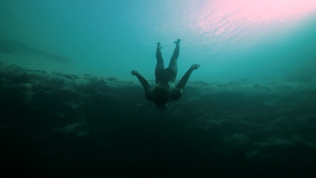 Video Reference: underwater diving, divemaster, underwater, scuba diving, freediving, sea, diving, marine biology, aquanaut, organism