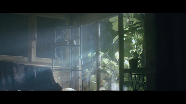 Video Reference: darkness, light, atmosphere, snapshot, screenshot, sunlight, glass, computer wallpaper, scene, midnight