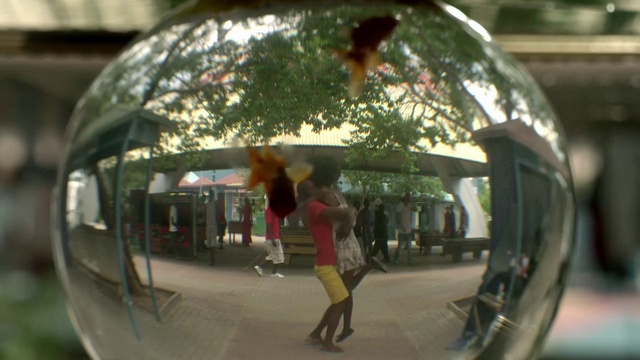 Video Reference: Reflection, Photography, Snapshot, Fisheye lens, Sphere, Fun, Tree, Pedestrian, World, Rear-view mirror