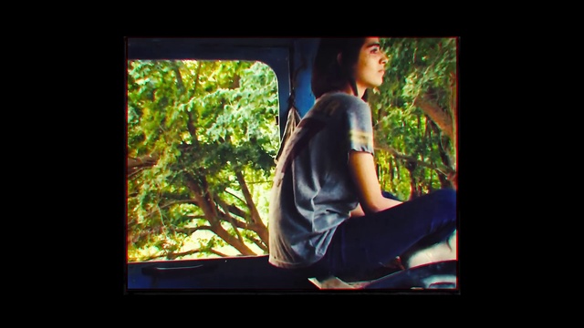 Video Reference: Photograph, Nature, Green, Sitting, Light, Sunlight, Leaf, Tree, Snapshot, Photography