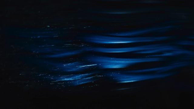 Video Reference: Blue, Water, Black, Sky, Light, Darkness, Atmosphere, Electric blue, Night, Calm