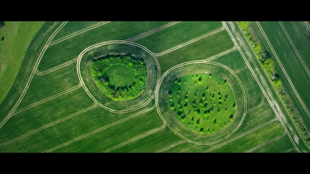 Video Reference: green, aerial photography, leaf, grass, photography, bird's eye view, water, computer wallpaper, plant