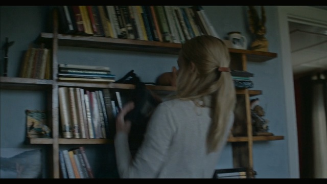 Video Reference: Shelving, Shelf, Bookcase, Snapshot, Library, Book, Furniture, Publication