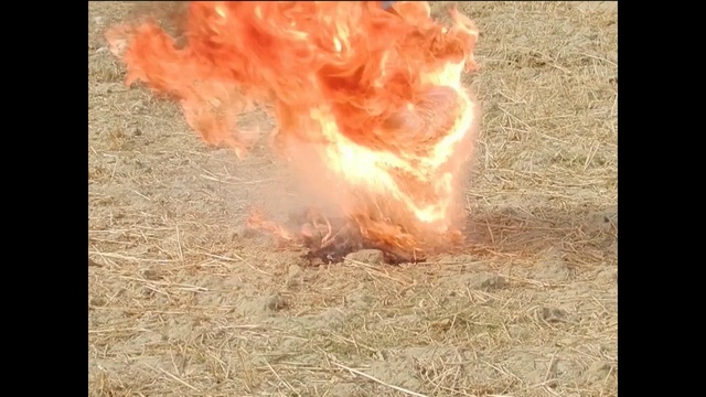 Video Reference: fire, flame, explosion, grass, heat, campfire
