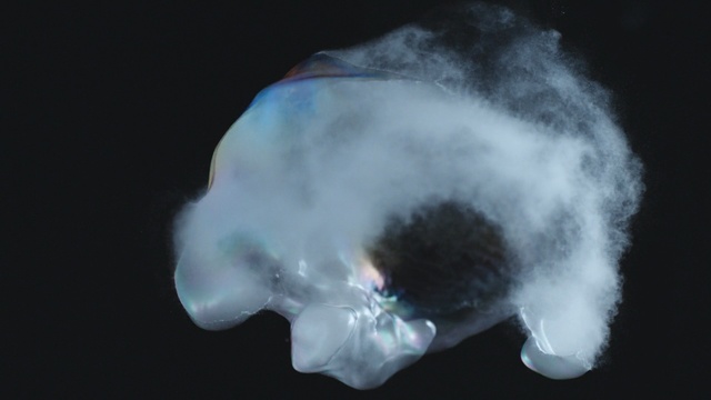 Video Reference: Organism, Smoke, Space, Person