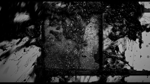 Video Reference: black, black and white, photograph, water, tree, monochrome photography, darkness, photography, reflection, monochrome, Person