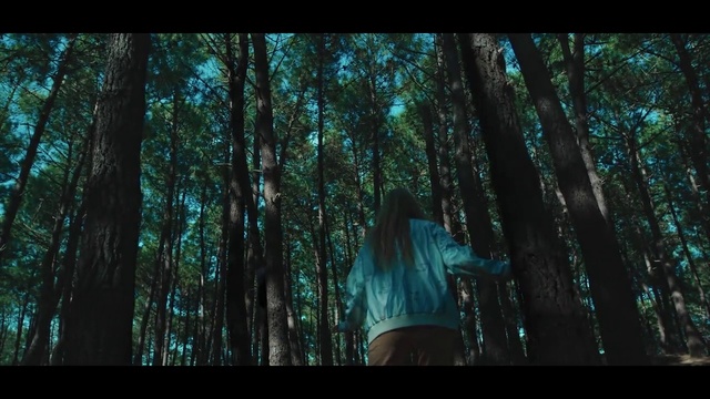 Video Reference: Nature, Forest, Tree, Natural environment, Green, Woodland, Jungle, Old-growth forest, Woody plant, Biome