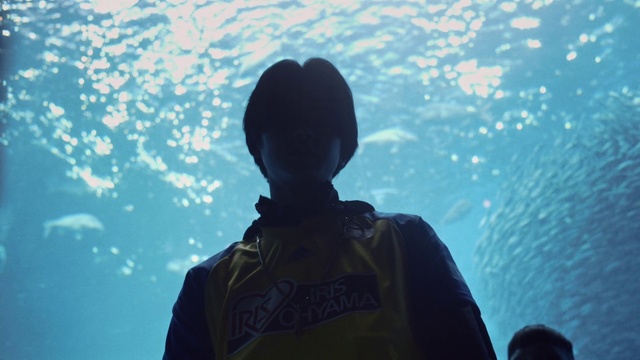 Video Reference: Blue, Water, Sky, Organism, Photography, Reflection, Silhouette, Sunlight, Backlighting, Sea