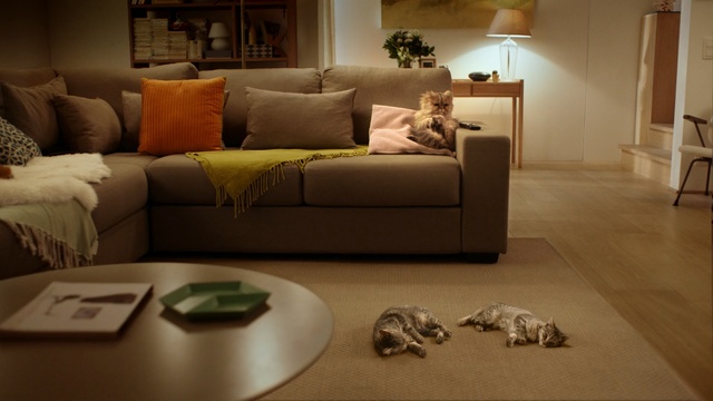 Video Reference: furniture, room, sofa, interior, home, seat, lamp, house, covered couch, decor, modern, comfortable, living, studio couch, pillow, bedroom, litter, apartment, table, convertible, rest, design, luxury, bed, style, floor, conveyance, couch, indoors, decoration, carpet, comfort, architecture, relax, light, wood, residential, Person