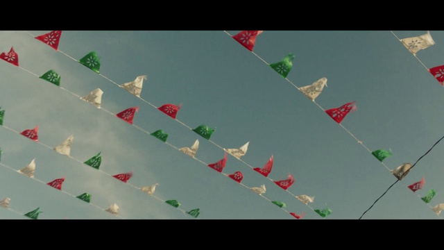 Video Reference: Leaf, Plant, Pattern, Triangle, Paper