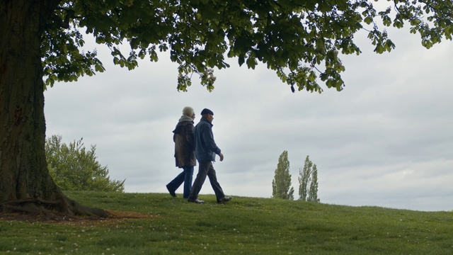 Video Reference: People in nature, Photograph, Tree, Natural landscape, Sky, Grass, Grassland, Photography, Fun, Hill
