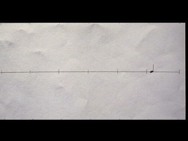 Video Reference: White, Black, Sky, Line, Wall, Cloud, Black-and-white, Monochrome, Atmosphere, Tree