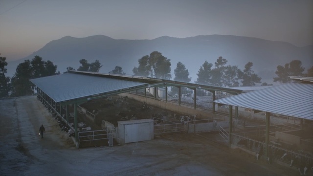 Video Reference: Atmospheric phenomenon, Sky, Morning, Hill station, Tree, Architecture, Rural area, Fog, Cloud, Landscape
