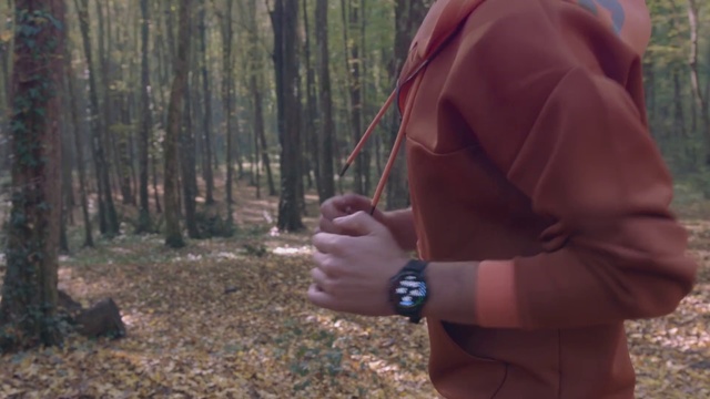 Video Reference: Forest, Woodland, Wilderness, Natural environment, Tree, Recreation, Jungle