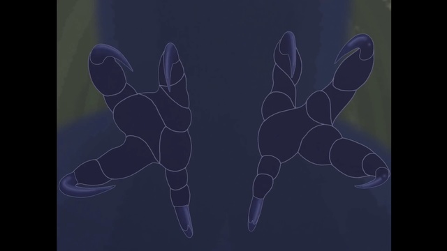Video Reference: Hand, Organism, Font, Animation, Finger, Gesture, Symmetry