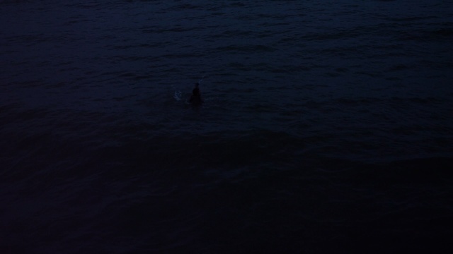 Video Reference: water, sea, ocean, calm, sky, darkness, marine mammal, horizon, river, night