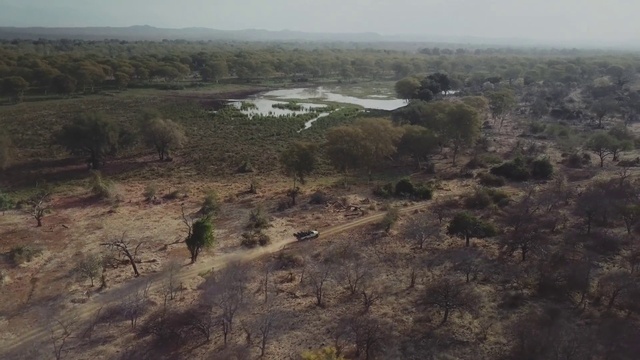 Video Reference: Vegetation, Natural environment, Plant community, Shrubland, Thermokarst, Soil, Landscape, Land lot, Plain, Geological phenomenon