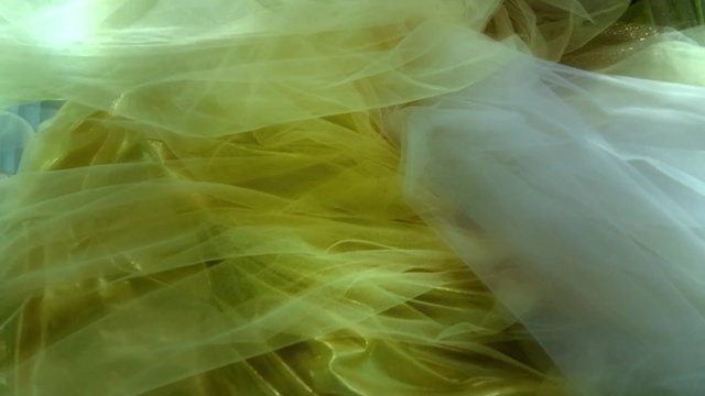 Video Reference: yellow, green, close up, macro photography, petal, computer wallpaper