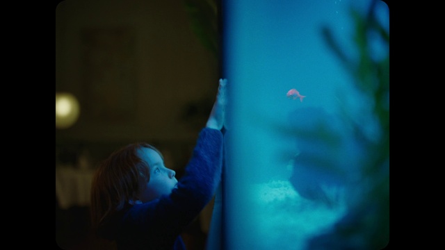 Video Reference: Blue, Green, Turquoise, Aqua, Teal, Azure, Eye, Human, Electric blue, Organism