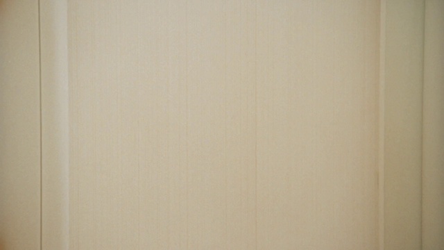 Video Reference: Wall, Room, Material property, Beige, Door