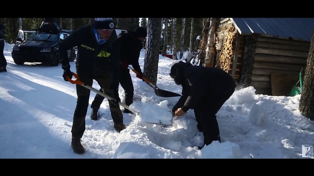 Video Reference: Snow, Winter, Freezing, Ice, Tree