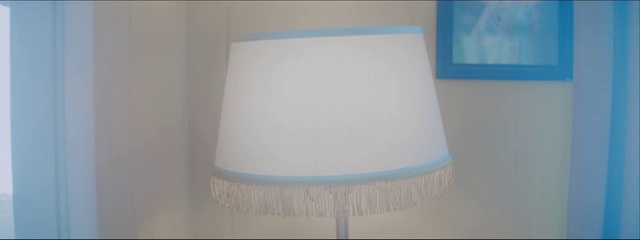 Video Reference: Lampshade, Lighting accessory, Lighting, Light fixture, Lamp, Room, Home accessories