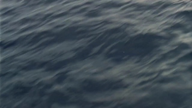 Video Reference: water, sea, ocean, sky, atmosphere, wind wave, wave, marine mammal, geological phenomenon, water resources