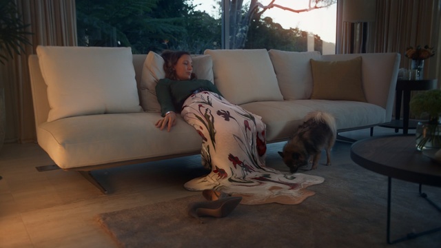 Video Reference: Couch, Canidae, Dog, Floor, Furniture, Room, Flooring, Leg, Sporting group, Companion dog, Indoor, Living, Table, Sofa, Sitting, Window, Building, Looking, White, Large, Standing, Woman, Cat, Laying, Man, Sofa bed, Carnivore, Pillow, Studio couch, Animal, Bed, Seat, Loveseat, Comfort