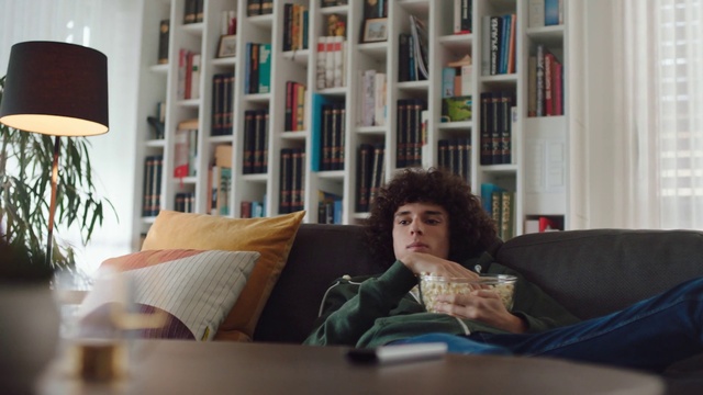 Video Reference: Furniture, Couch, Table, Comfort, Textile, Interior design, Picture frame, Living room, Wood, studio couch